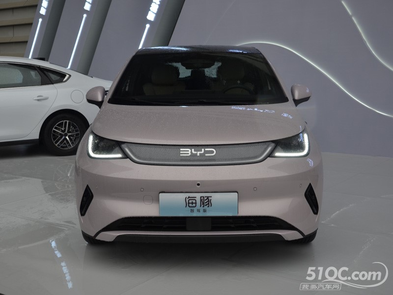 2025款 比亚迪海豚 外观