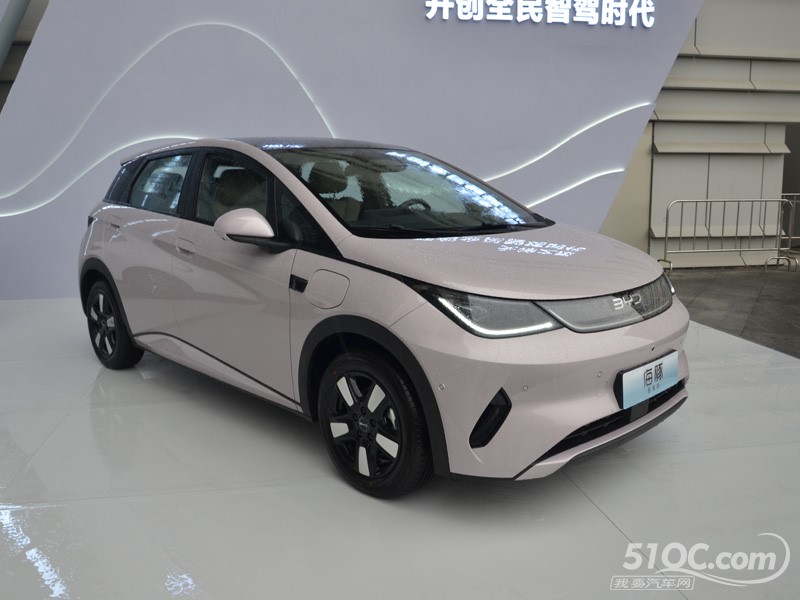 2025款 比亚迪海豚 外观