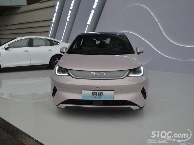 2025款 比亚迪海豚 外观