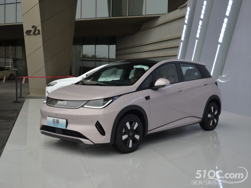 2025款 比亚迪海豚 外观