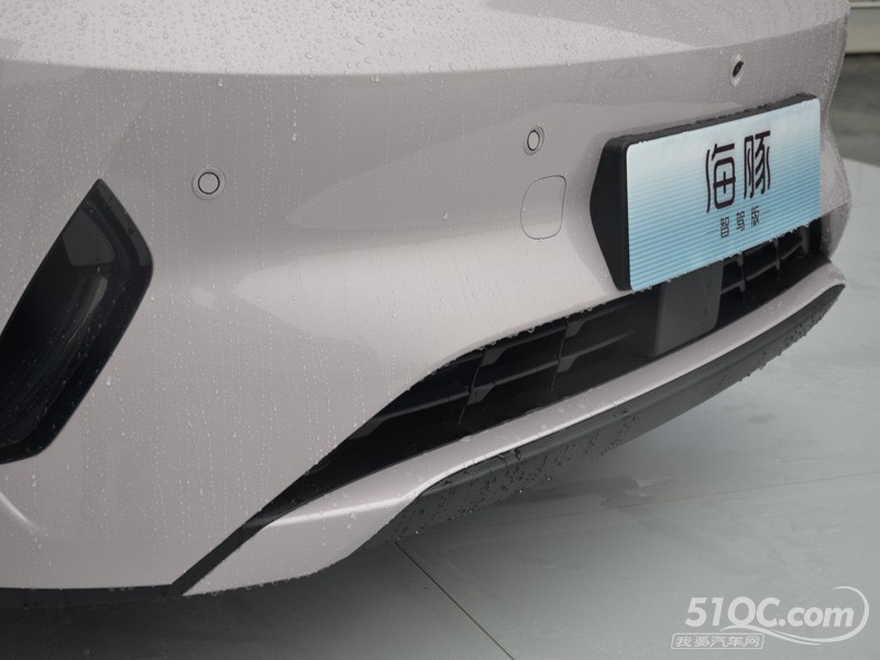 2025款 比亚迪海豚 其它