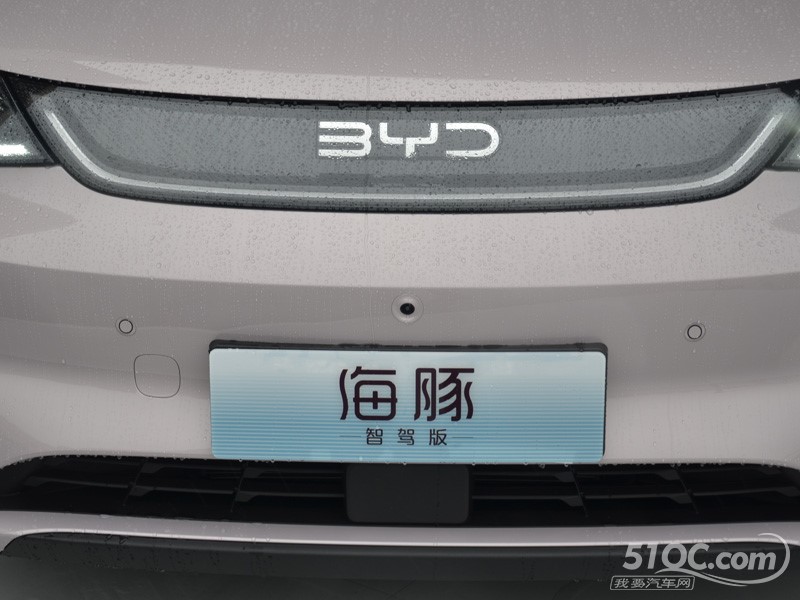 2025款 比亚迪海豚 其它