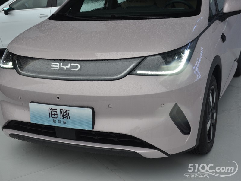 2025款 比亚迪海豚 其它