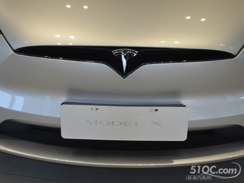 2025款 特斯拉Model X 其它